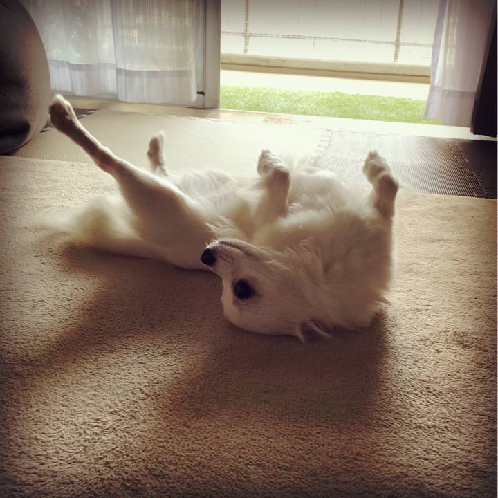 C09a6342 6233 4520 ade1 d726c305e82c 1526452029661