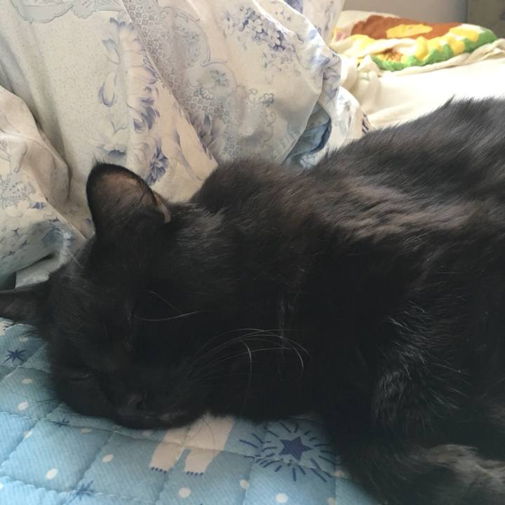 C09a6375 f581 405d 9a08 77fa9752ed5b 1535954842613