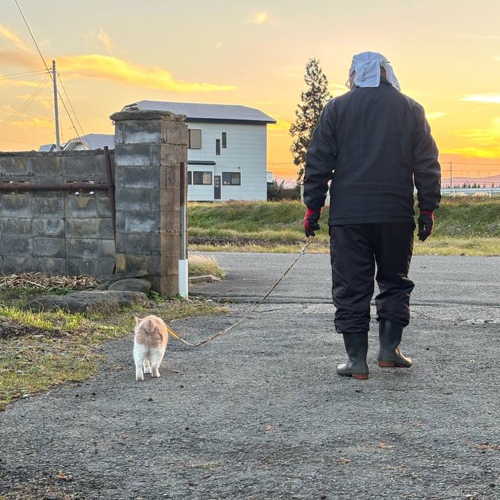 C09a9f8a ecff 4124 b46c ea52651376e2 1762937623036