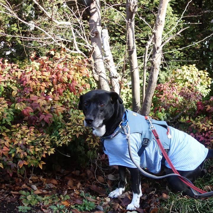 C09aaa2c b37b 4384 8db9 a75d60aa7fa7 1708909276270