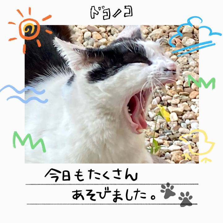 C09b1b2f cb3d 40ee be16 c936076a3ebf 1755083755035