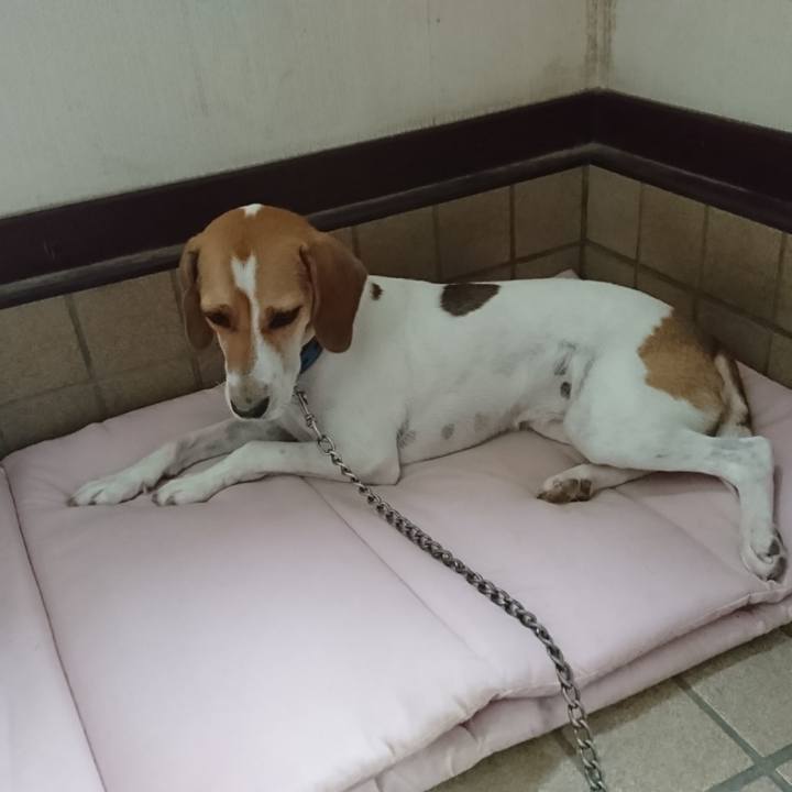 C09b2a01 7707 46ca a667 f8f100c24b9d 1567000932937