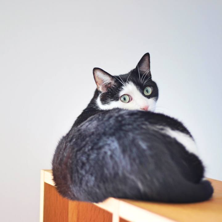 C09b34b2 98db 4f71 adb2 de7bbb961892 1571238437712