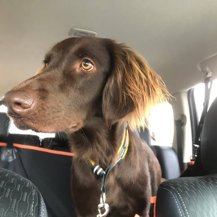 C09b452f 7548 4646 9d06 5263bd1251c3 1586739146519