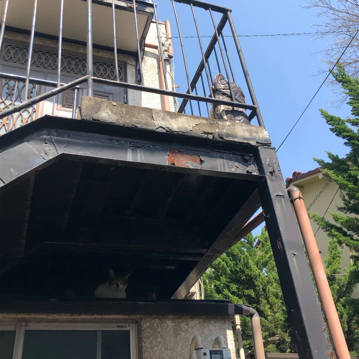 C09b5e08 6f94 466c 8d36 e1221bb6d66f 1589716319919