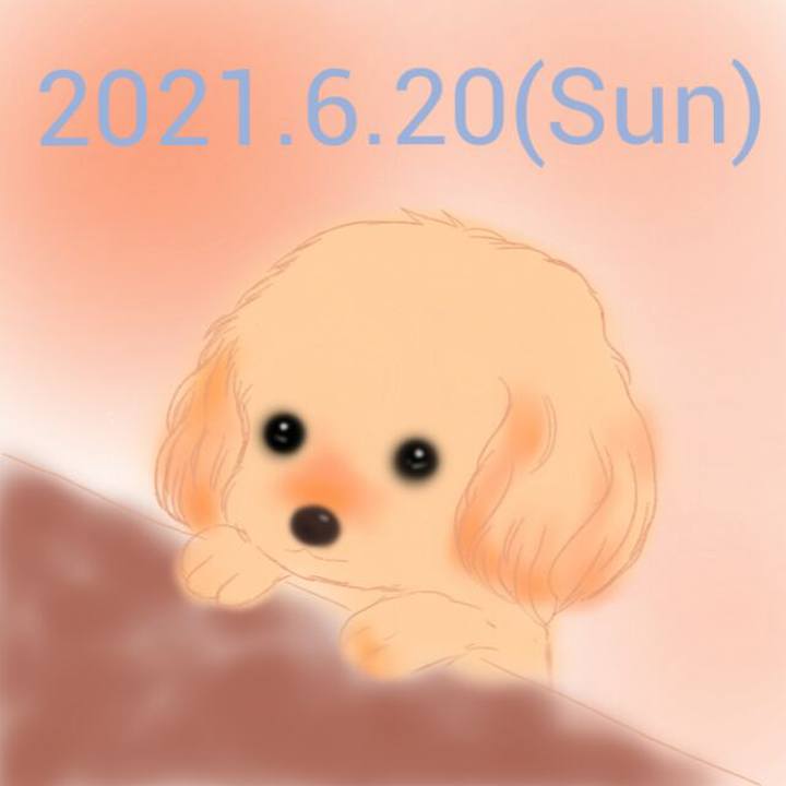 C09b6d73 15ea 4280 b428 5d3dbdb8c43c 1624191364933