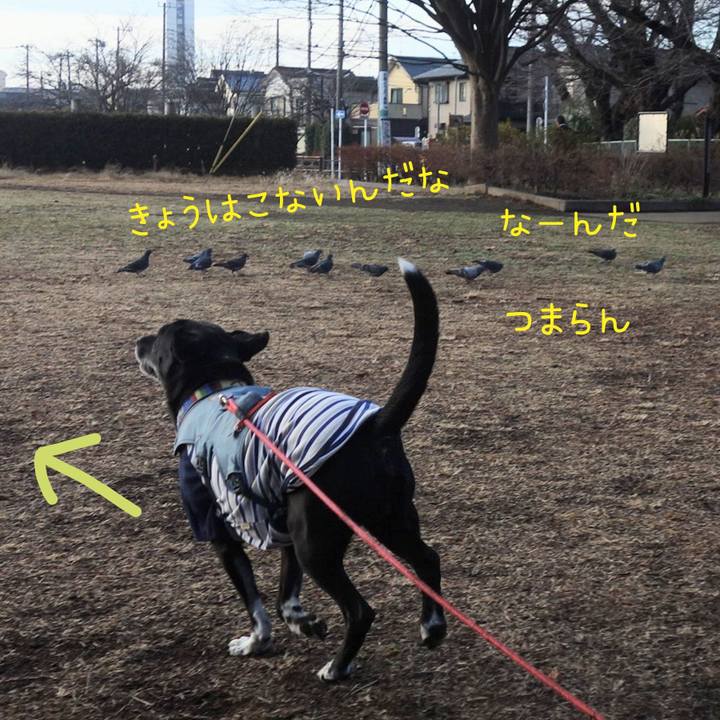 C09ba969 cbc1 444d 813a e784176c80db 1705975940657