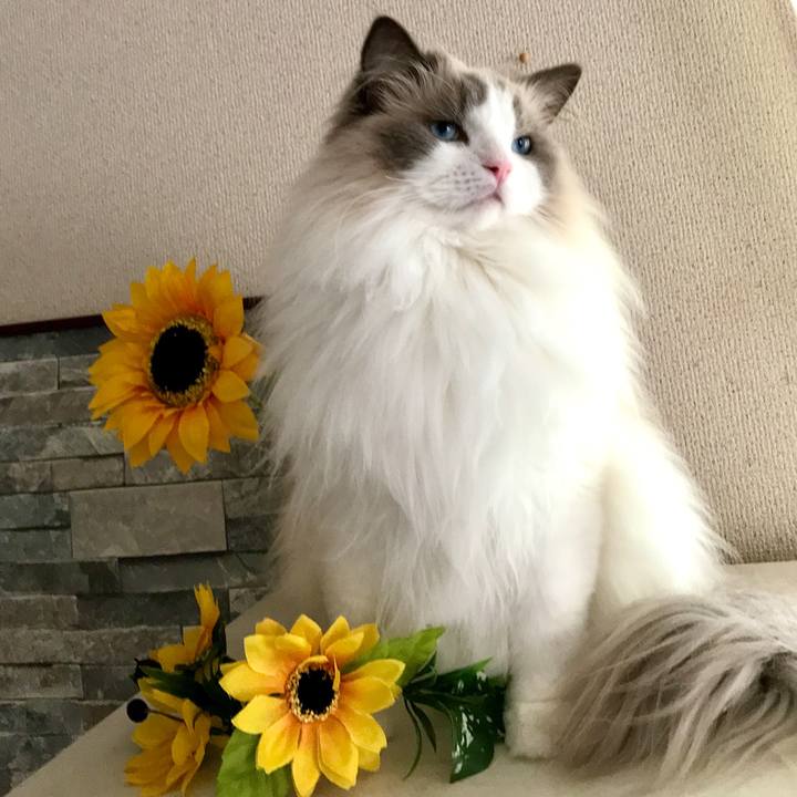 C09bb021 ee1b 44da 914a c2f589f276ee 1596960920197