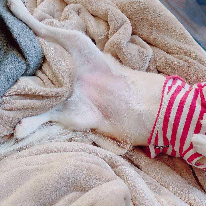 C09bd504 77b6 477a bcf2 2b48d9f4ad07 1704541688514