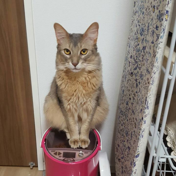 C09bdc66 bb2a 4068 b8c8 26f742c28ea0 1554896179126