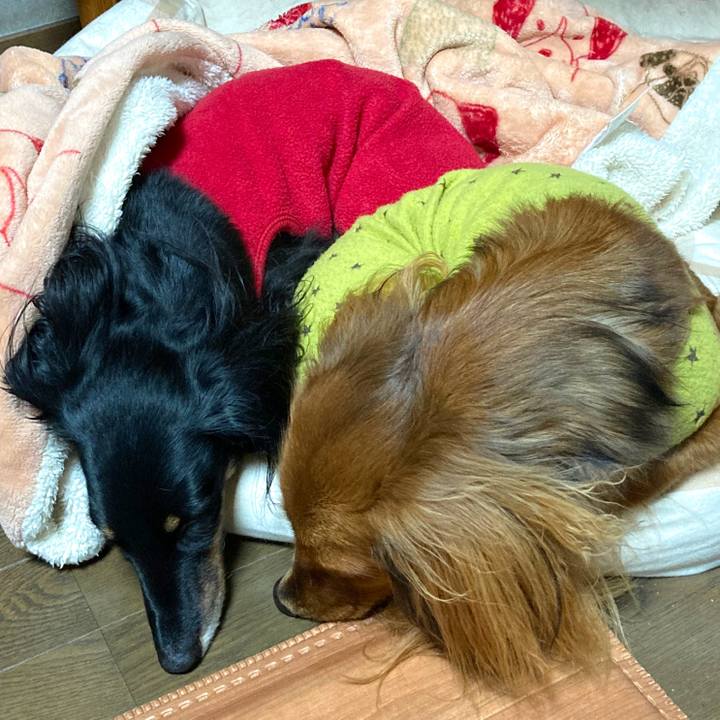 C09c5a6b 37bf 426b 9c15 969bb9898c7b 1735027726932