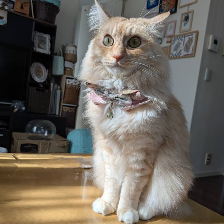 C09cbfc6 766e 4e7c a83a b0ac02228290 1737692898107