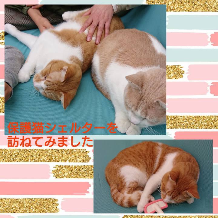 C09cca52 912c 4da5 afe2 4b3efa9607bc 1615723289162