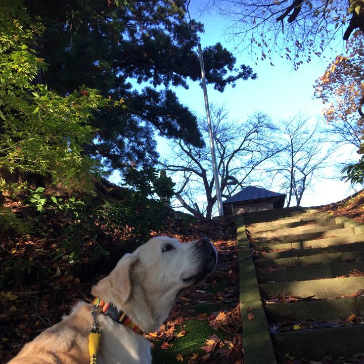 C09ce43c a2ac 4318 866b 6784f6c65f85 1571397449142