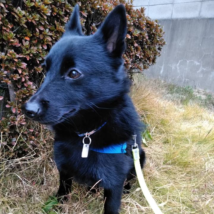 C09cf639 14b3 41d6 884e be6b294c3b60 1575677235334