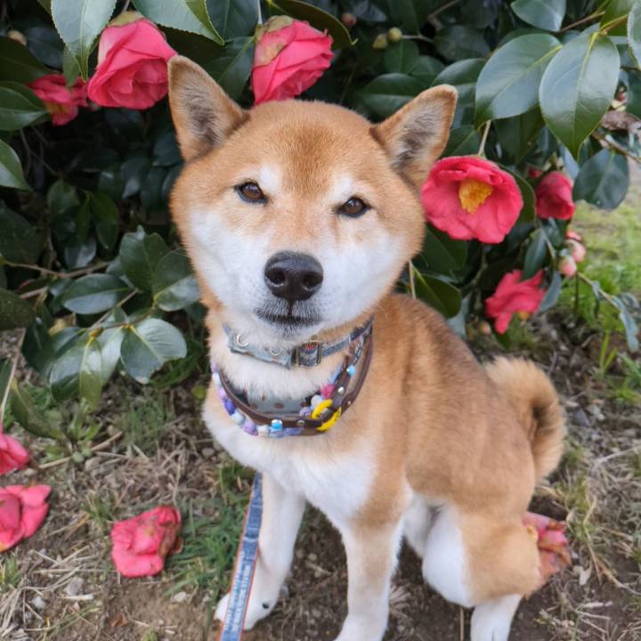 C09d1445 db59 4744 913a 6a1338061a5b 1709822744597