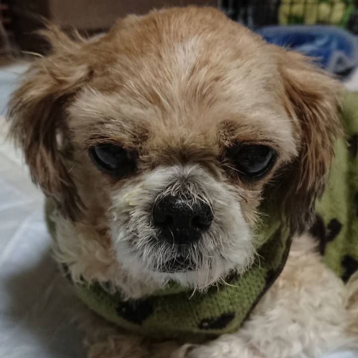 C09d1a85 5849 442b 8447 196a9d717d2a 1520521946009