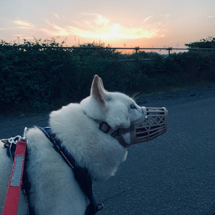 C09d38ee b013 4250 b83d f432984ac612 1628195154599