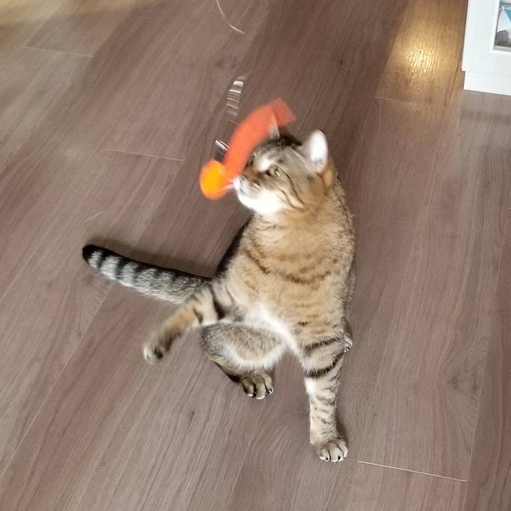 C09d9a18 d1cc 4f7d 80d5 d7852cf517ab 1552889548962