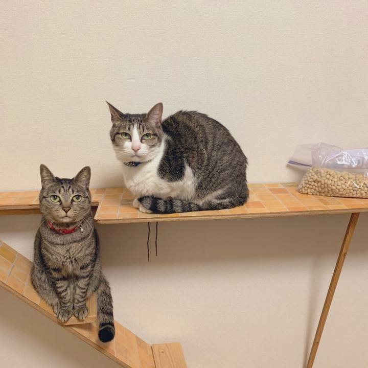 C09de0bd 955d 4ae6 b32d 1388f423119c 1581343084629