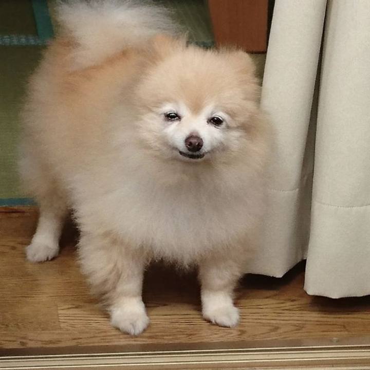 C09e0cbb d2c3 44d0 a605 9274d91f5201 1717407675186