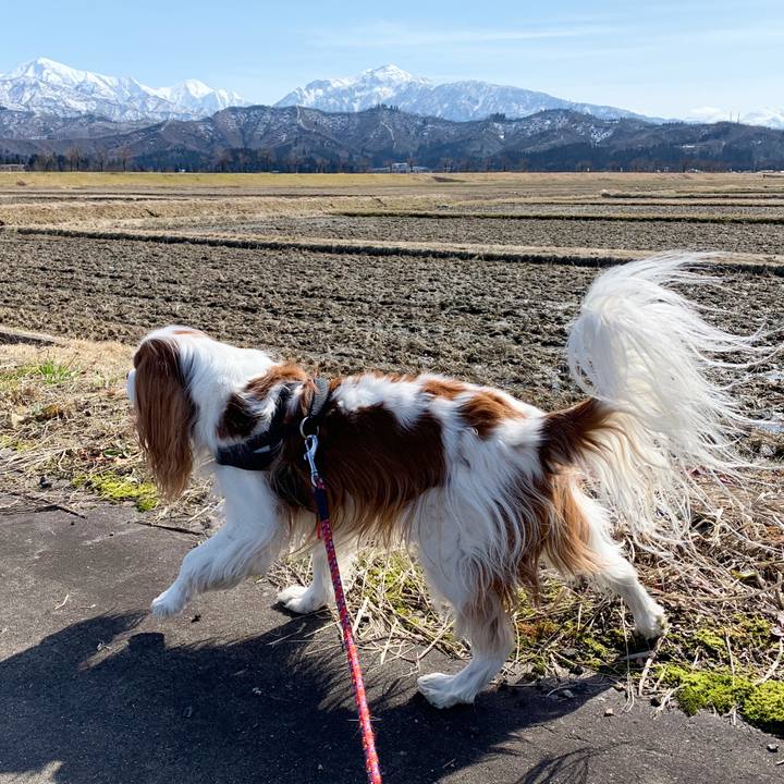 C09e3d78 fc5b 4905 b182 31fb5ab47903 1582951699589