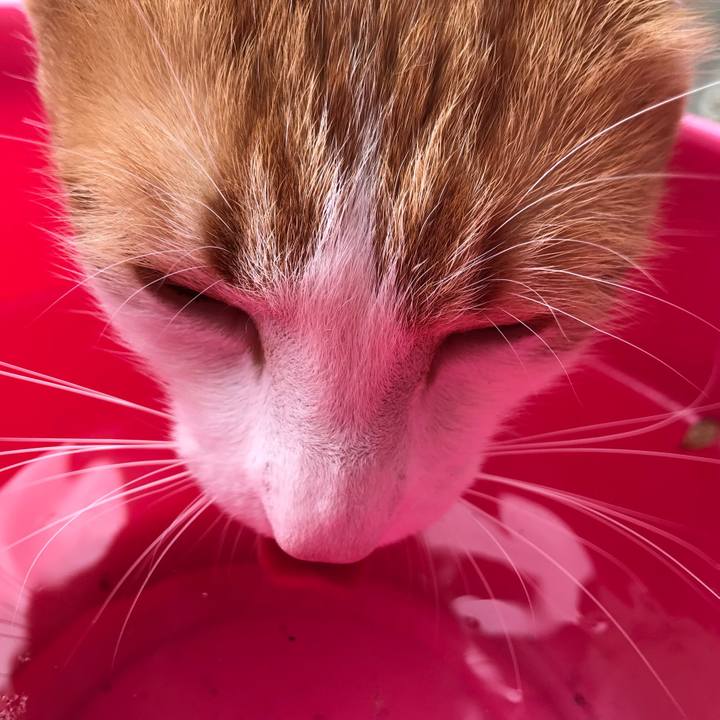 C09e4d6a 4807 46dc 8991 a595f24be4c1 1510370816453