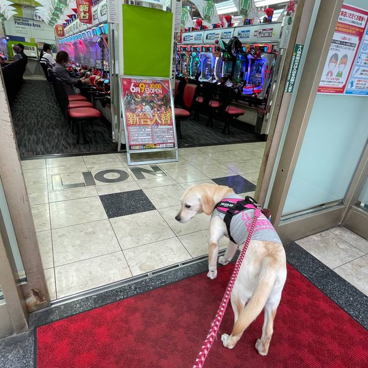 C09e689a 6989 4624 93a3 b47c30644529 1623043992412