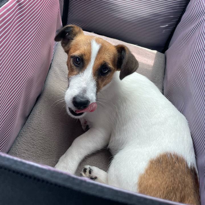 C09e790f 088e 4d14 84ce 86a50b43fca2 1624501752399