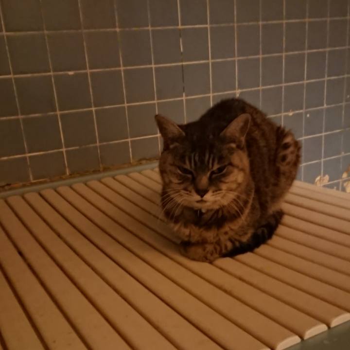 C09ea4fb c4a0 4676 b91f f8f2e40e5ef2 1572771650215