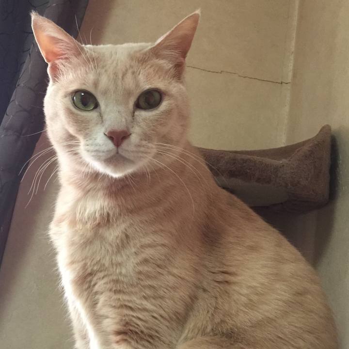 C09ebbd8 fd1d 4bc5 a420 92a9e590653d 1535982205537