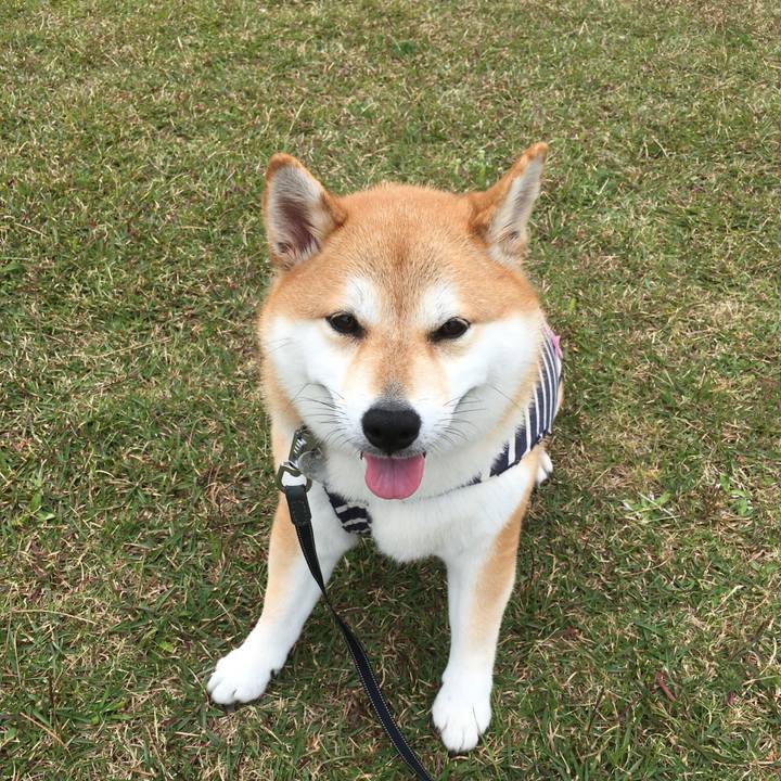 C09ecb01 28c7 4b50 9f81 97cdcfd3aa1f 1541468702390