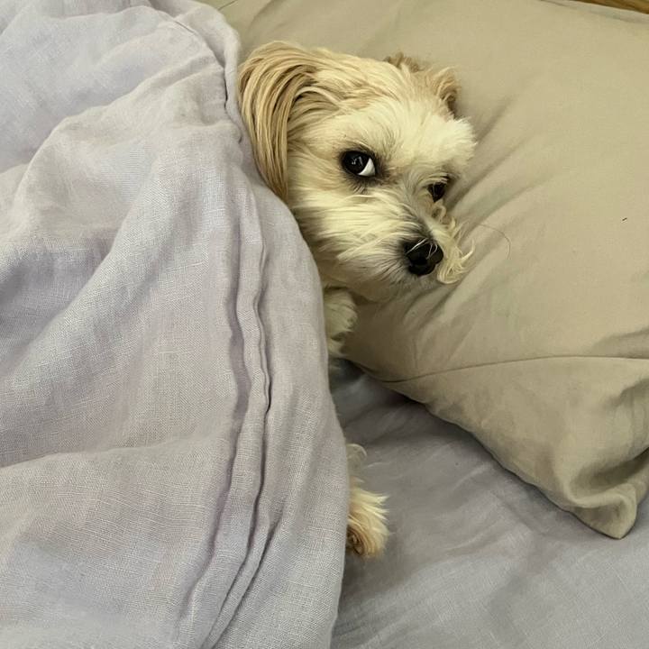 C09eef7e 4c5e 4bd0 ae6d 507be86081df 1772704299036