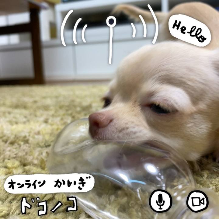 C09f1737 7f72 4432 b2ed 6c00a679ab05 1593661138517