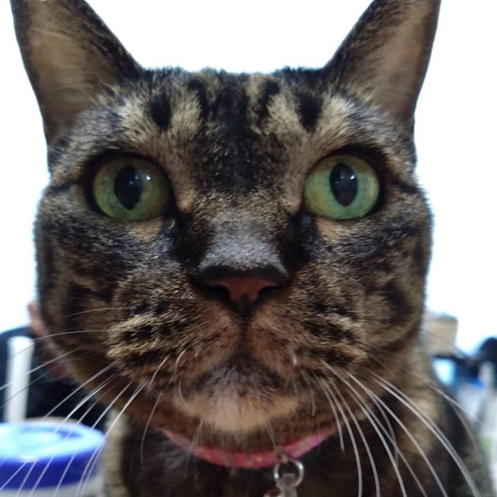 C09f508b 69b1 40f5 9019 7bed8c08e30e 1767278847120