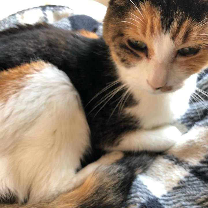 C09f5ad1 1532 4d5f 8a07 156c7becb2c1 1573881953080