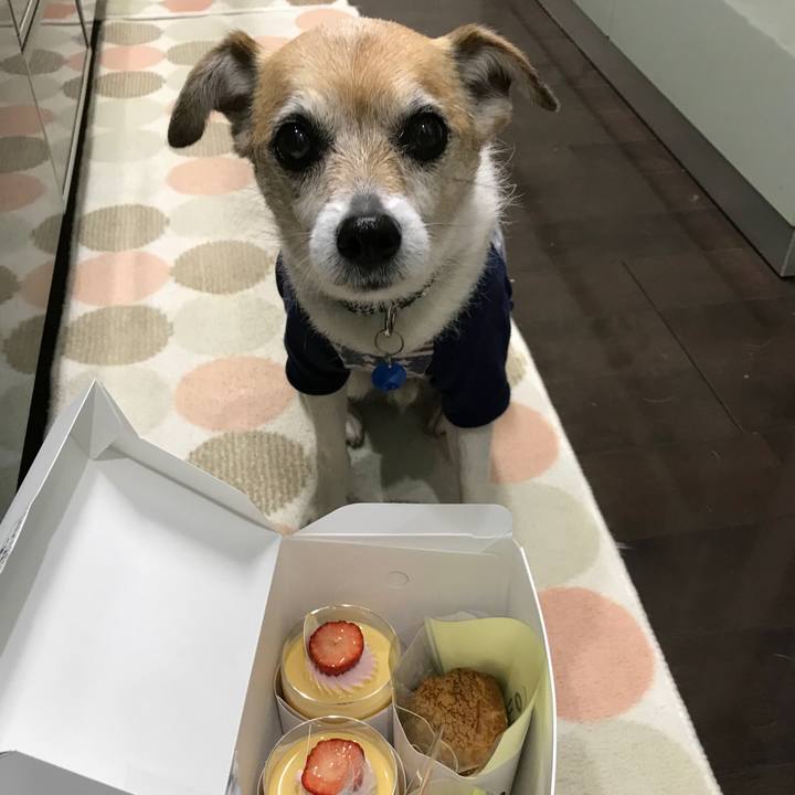 C09f6d1e 4272 451b 99c4 da832d20a5ed 1647325546400