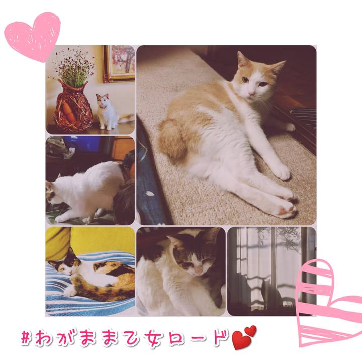 C09f8229 687d 4e5d b2f8 89f0bf5cbeff 1567424386534