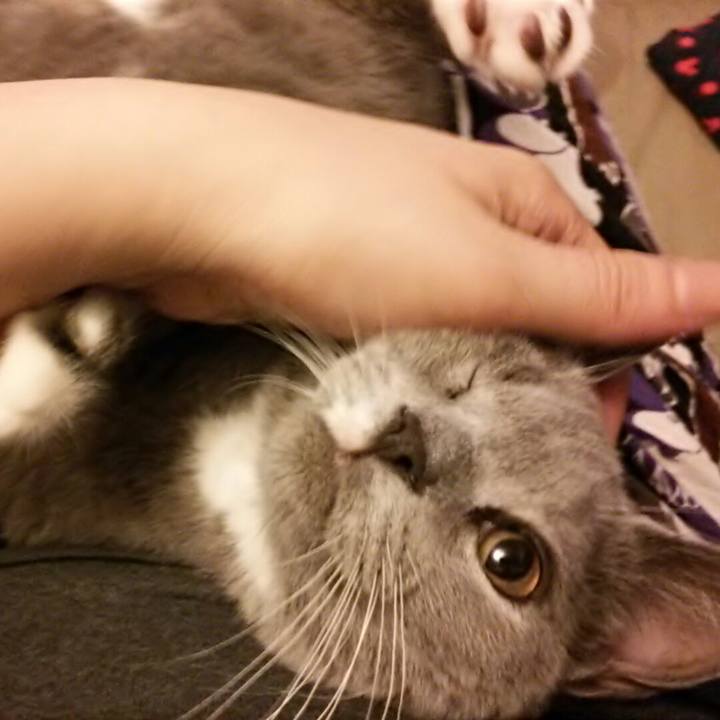 C09f88d9 b9b7 4c4c 8ac5 709a76b738da 1536272597078