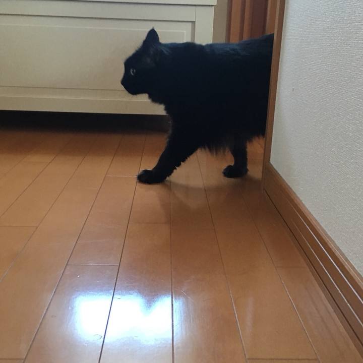 C09f8b90 33b7 496b 8a37 d24edba1faaa 1522634078108