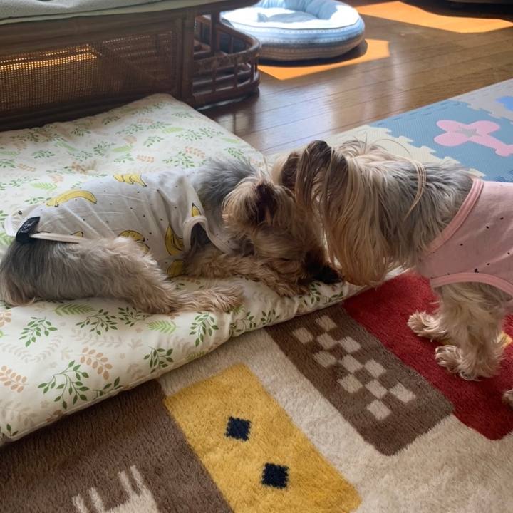 C09f959c 4739 40f5 857b f7d4ef3d5777 1654855039706