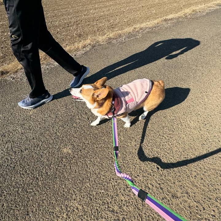 C09fb419 9f33 465a bce9 b29fba324e3d 1768025334146