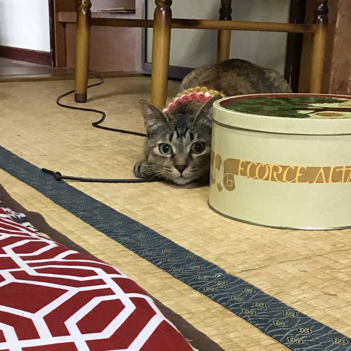 C0a01391 ae50 47c4 854c a07e1baa9e2e 1623458133806