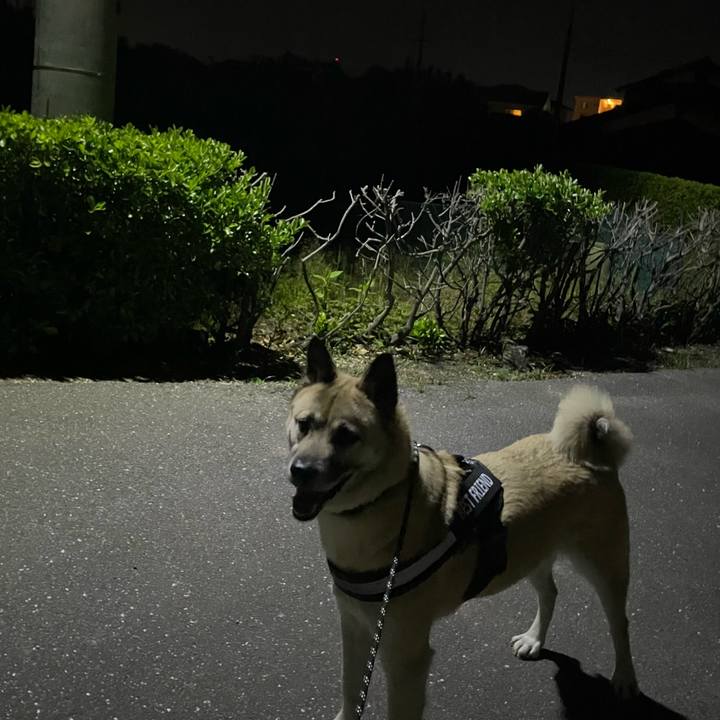 C0a02cee 44e2 496f b245 27ad26659d4d 1715604850600