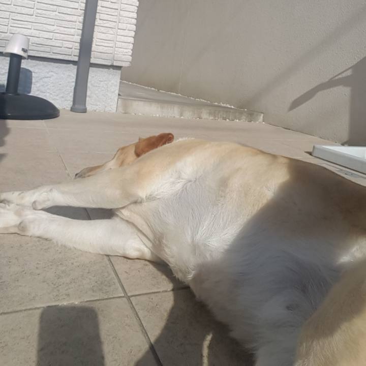 C0a0cba9 976f 4b37 a09e d61d00473db0 1516075361902