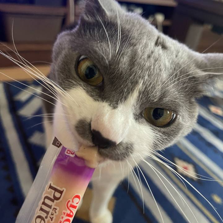 C0a0f66d ee47 4591 bd47 0e2a3607bbd7 1665730650080