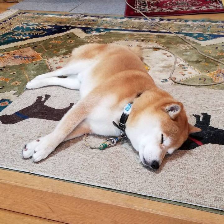 C0a15e29 c420 41a4 80d5 d0771fa76bd8 1526709695594