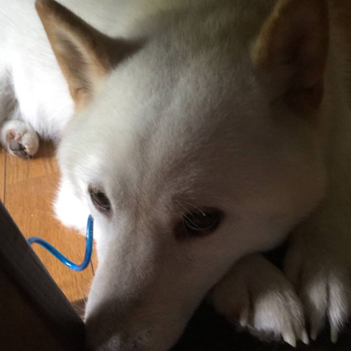 C0a16b66 37a3 4932 86fb 8507c4278d71 1536750653428