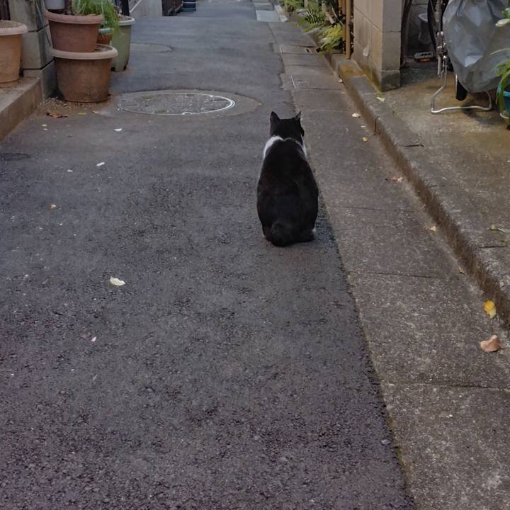 C0a19894 4c08 4c94 b07e 89920eecd4d1 1702769651606