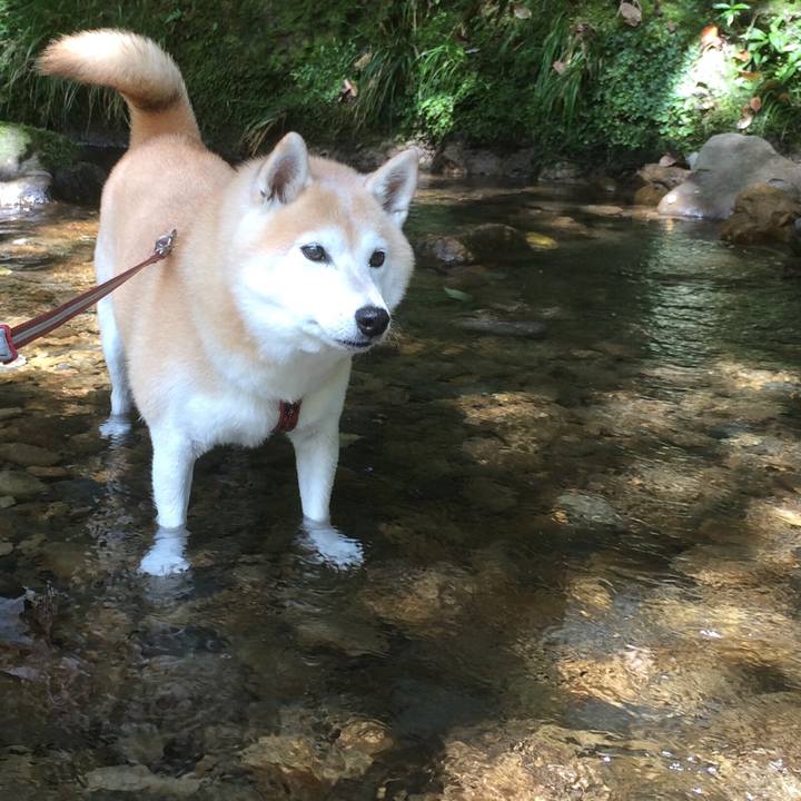 C0a1f76e cb03 4a61 a4a0 0b342935f723 1573834013547